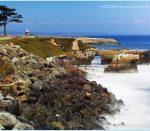 pleasure_point pleasure_point